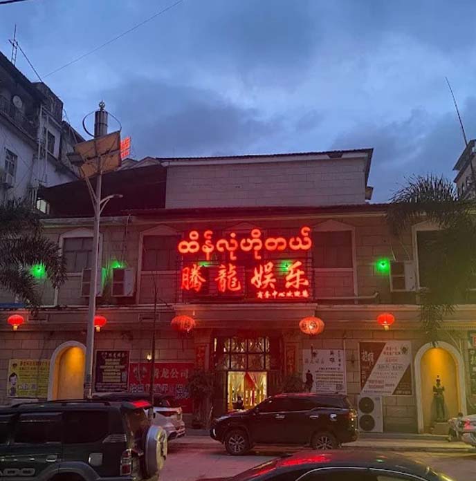 小母鸡